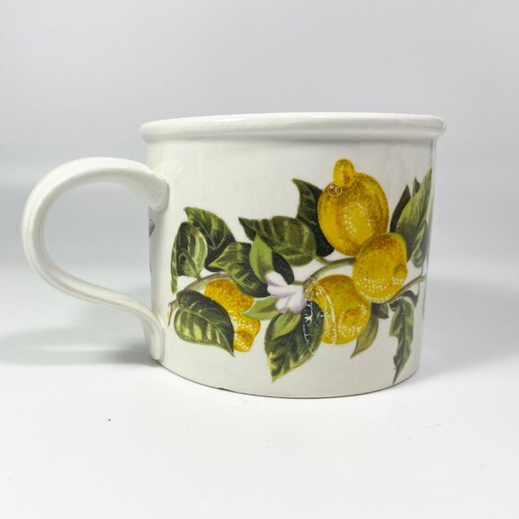 RARE !! Portmeirion Cymru Tea Coffee Cups Mugs Fruits design Oranges & lemons - Picture 4 of 8